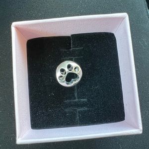 Pandora charm